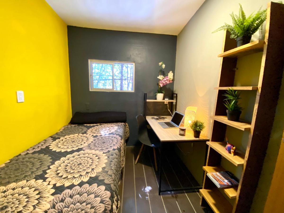 Roomies Hostel - Santa Maria La Ribera メキシコシティ エクステリア 写真